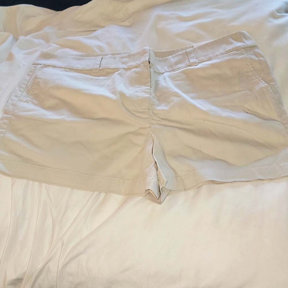 NWT LOFT shorts